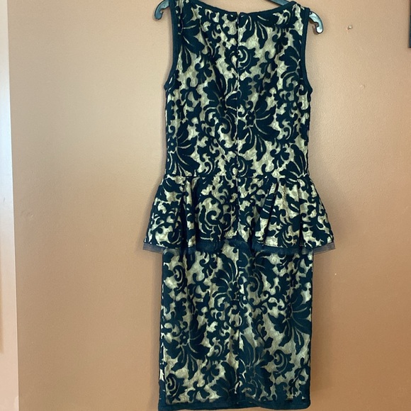 Tadashi Shoji beautiful lace Peplin dress in size 6. - Picture 2 of 11